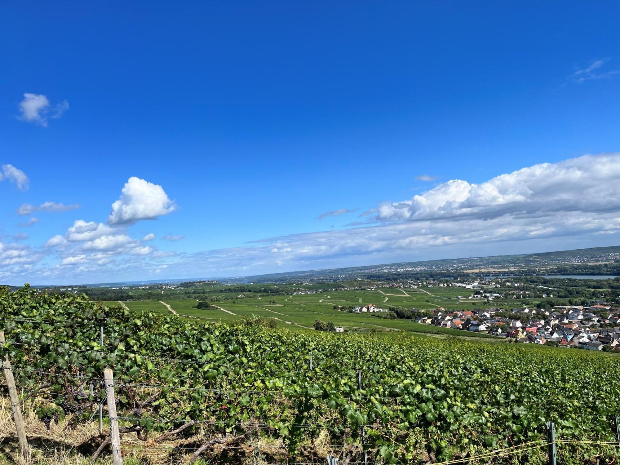 Haus Neugebauer-Garni, Johannisberg Esterno foto